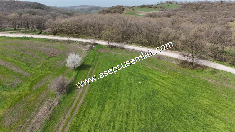 10.602 m2 Çiftlik, Bağ-Bahçe, Hobi Bahçe, Kadastro Yola Cepheli