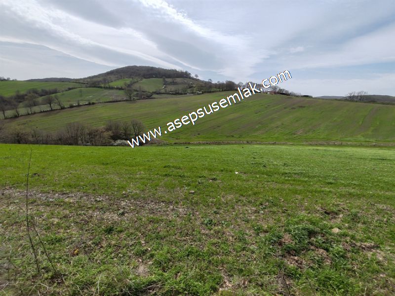 10.602 m2 Çiftlik, Bağ-Bahçe, Hobi Bahçe, Kadastro Yola Cepheli