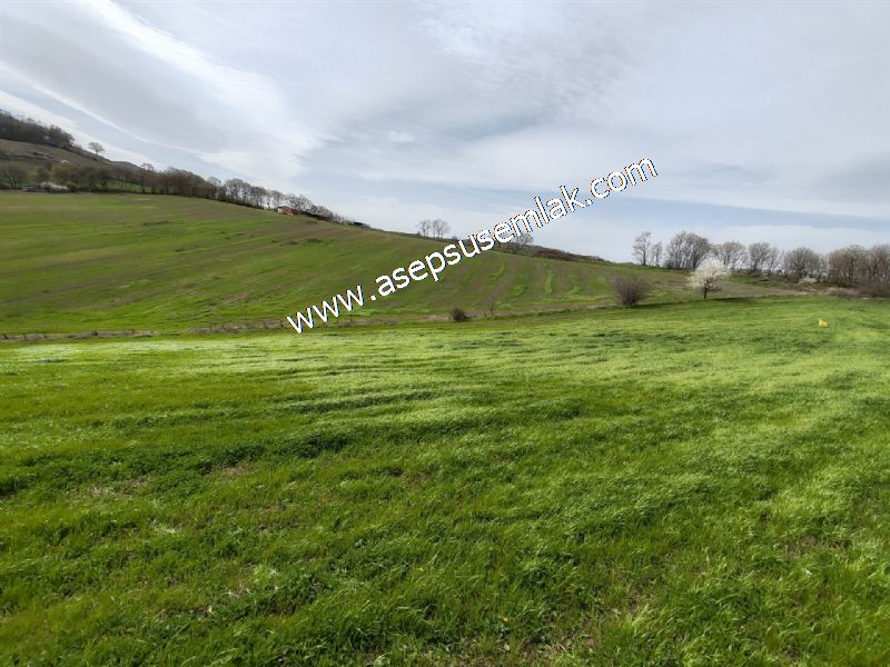 10.602 m2 Çiftlik, Bağ-Bahçe, Hobi Bahçe, Kadastro Yola Cepheli