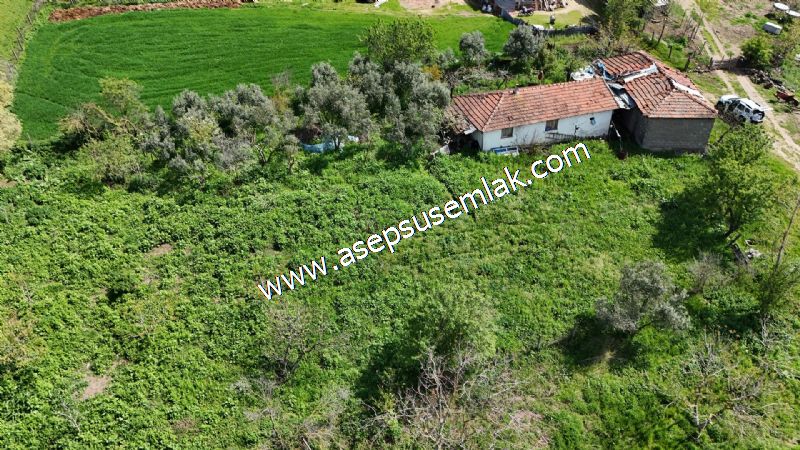 1.470 M2 Müstakil Köy Evi Arsa Meyve Bahçeli Bağ-Bahçe Asmalıder