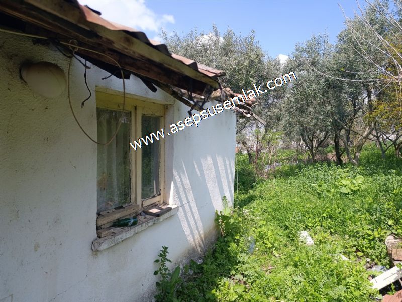 1.470 M2 Müstakil Köy Evi Arsa Meyve Bahçeli Bağ-Bahçe Asmalıder