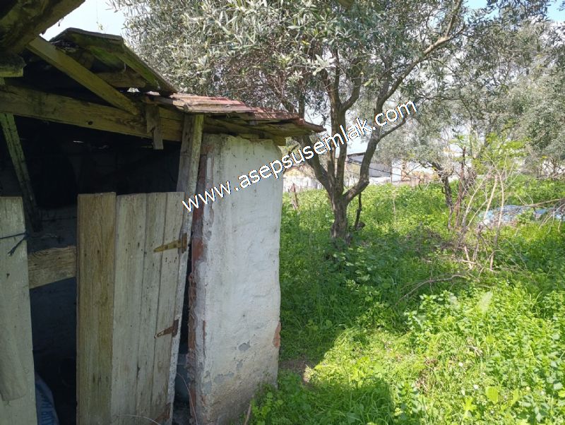 1.470 M2 Müstakil Köy Evi Arsa Meyve Bahçeli Bağ-Bahçe Asmalıder