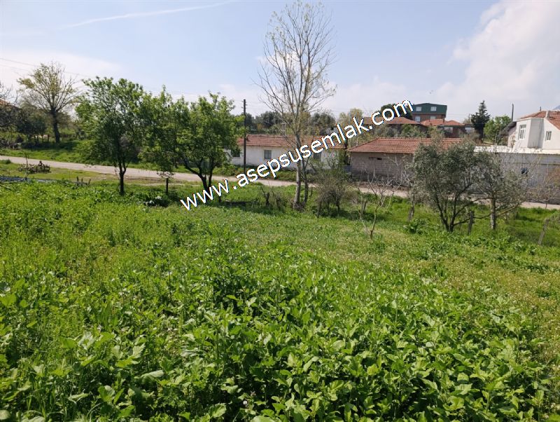 1.470 M2 Müstakil Köy Evi Arsa Meyve Bahçeli Bağ-Bahçe Asmalıder