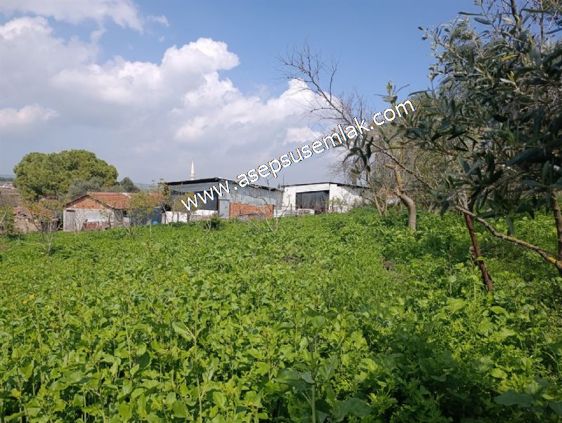1.470 M2 Müstakil Köy Evi Arsa Meyve Bahçeli Bağ-Bahçe Asmalıder
