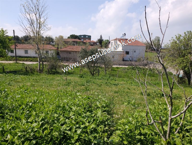 1.470 M2 Müstakil Köy Evi Arsa Meyve Bahçeli Bağ-Bahçe Asmalıder