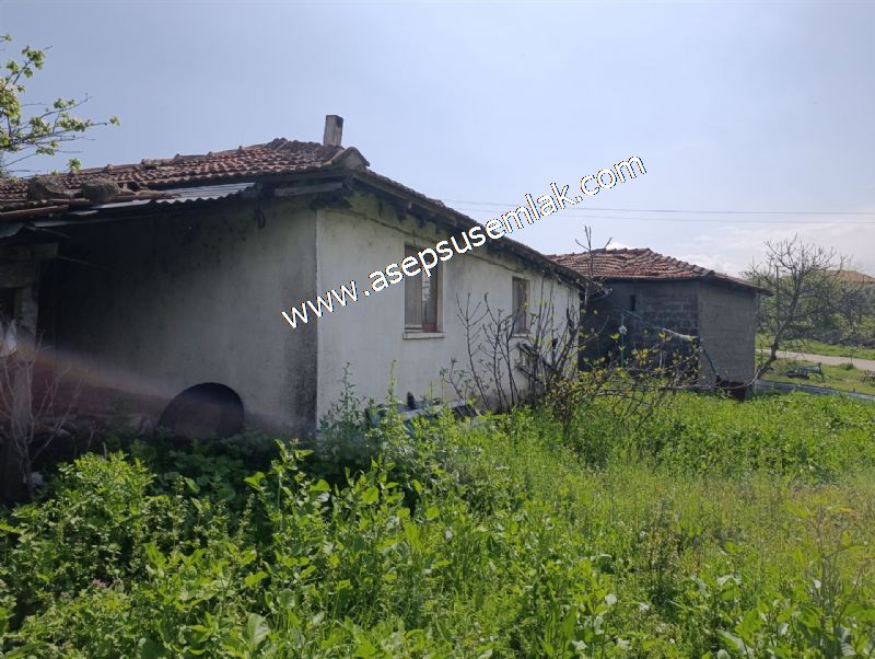 1.470 M2 Müstakil Köy Evi Arsa Meyve Bahçeli Bağ-Bahçe Asmalıder
