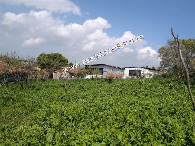 1.470 M2 Müstakil Köy Evi Arsa Meyve Bahçeli Bağ-Bahçe Asmalıder