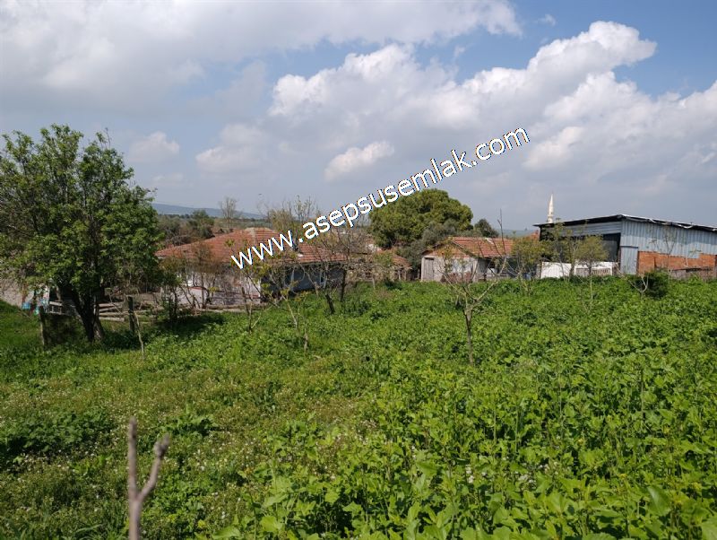 1.470 M2 Müstakil Köy Evi Arsa Meyve Bahçeli Bağ-Bahçe Asmalıder