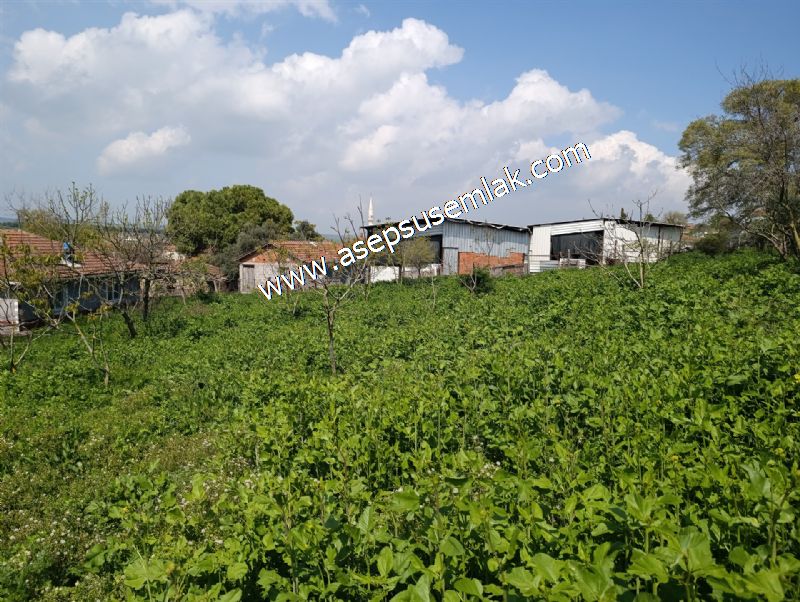 1.470 M2 Müstakil Köy Evi Arsa Meyve Bahçeli Bağ-Bahçe Asmalıder