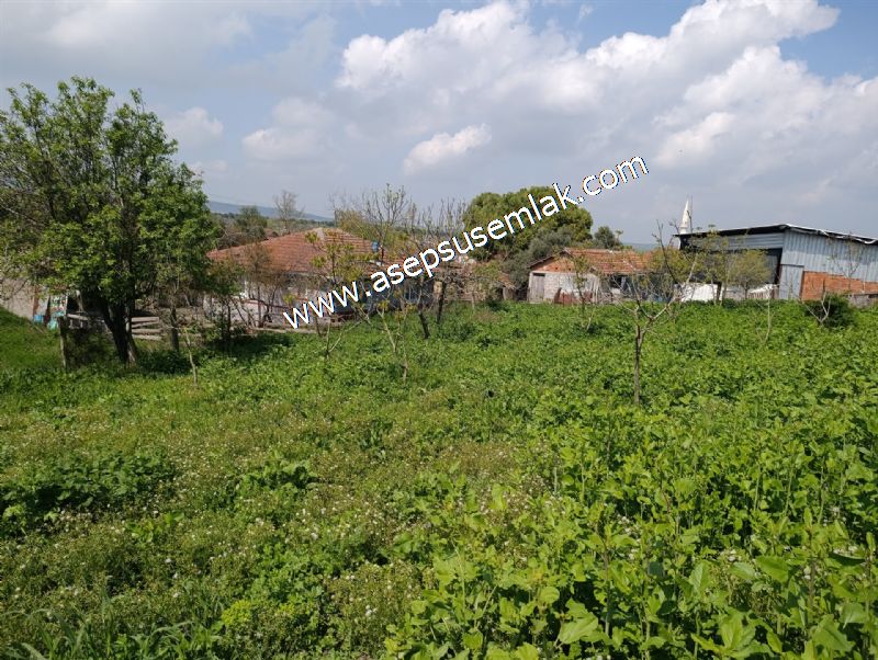 1.470 M2 Müstakil Köy Evi Arsa Meyve Bahçeli Bağ-Bahçe Asmalıder
