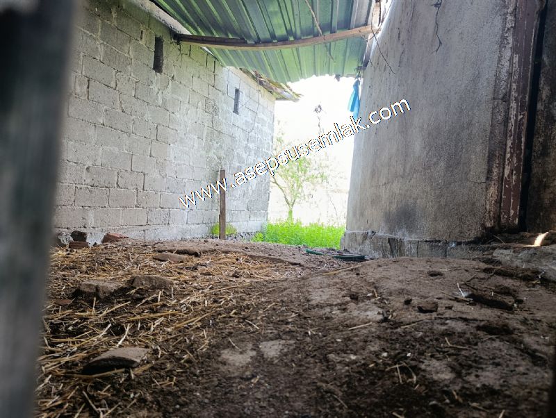 1.470 M2 Müstakil Köy Evi Arsa Meyve Bahçeli Bağ-Bahçe Asmalıder