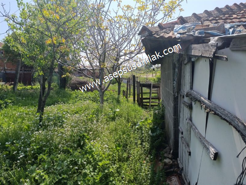 1.470 M2 Müstakil Köy Evi Arsa Meyve Bahçeli Bağ-Bahçe Asmalıder
