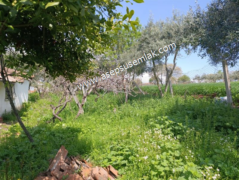 1.470 M2 Müstakil Köy Evi Arsa Meyve Bahçeli Bağ-Bahçe Asmalıder
