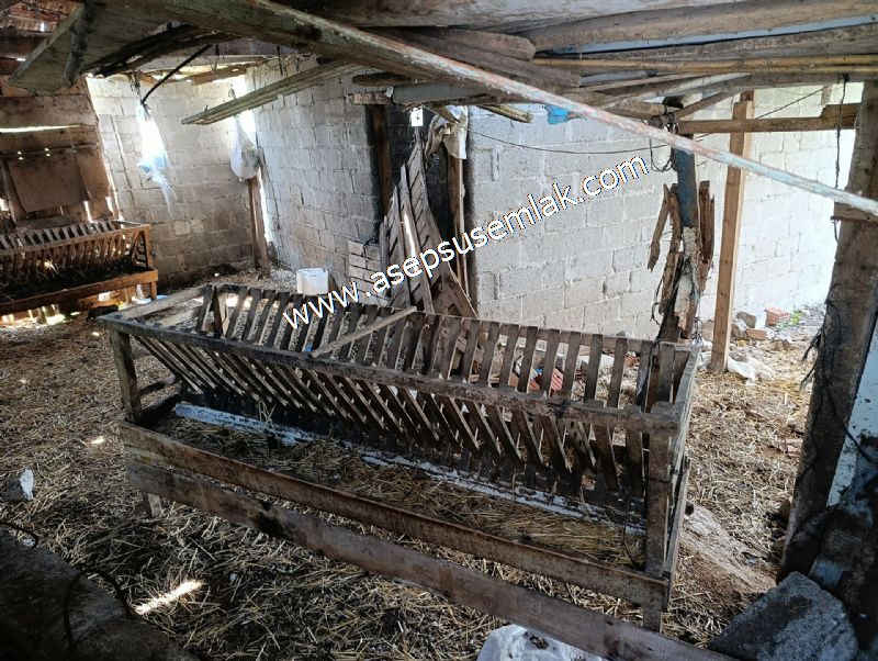 1.470 M2 Müstakil Köy Evi Arsa Meyve Bahçeli Bağ-Bahçe Asmalıder
