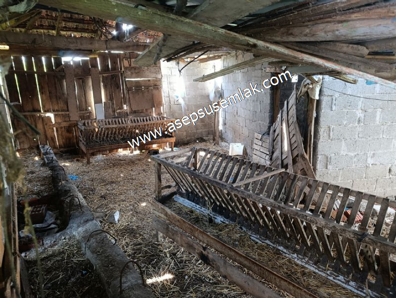 1.470 M2 Müstakil Köy Evi Arsa Meyve Bahçeli Bağ-Bahçe Asmalıder