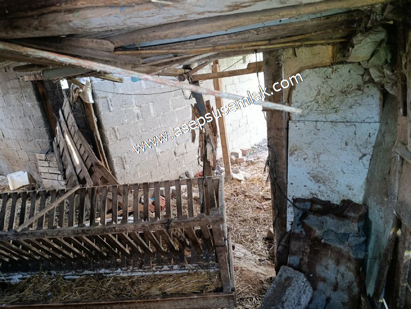 1.470 M2 Müstakil Köy Evi Arsa Meyve Bahçeli Bağ-Bahçe Asmalıder