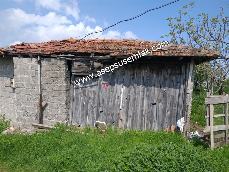 1.470 M2 Müstakil Köy Evi Arsa Meyve Bahçeli Bağ-Bahçe Asmalıder