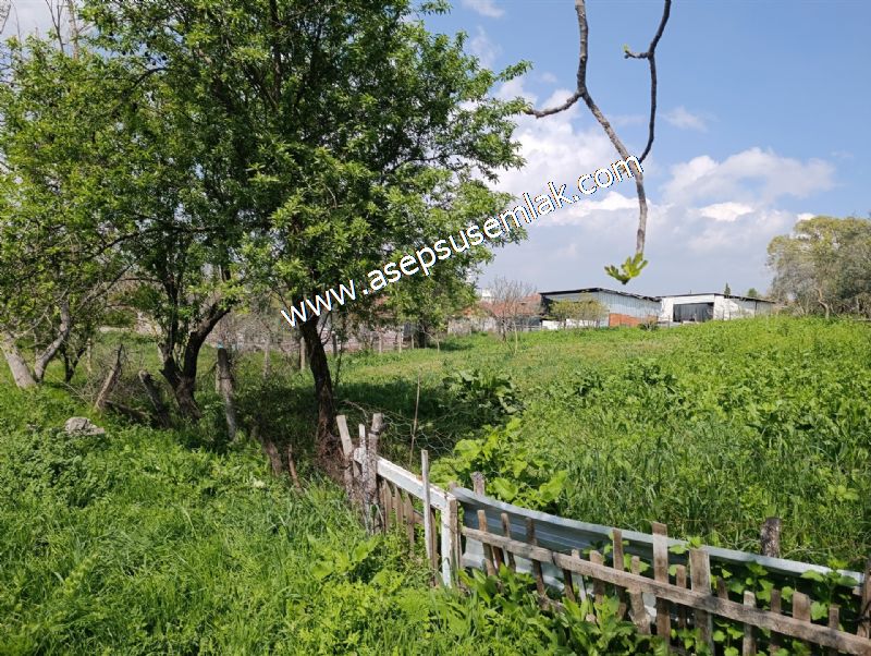 1.470 M2 Müstakil Köy Evi Arsa Meyve Bahçeli Bağ-Bahçe Asmalıder