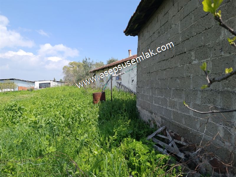 1.470 M2 Müstakil Köy Evi Arsa Meyve Bahçeli Bağ-Bahçe Asmalıder