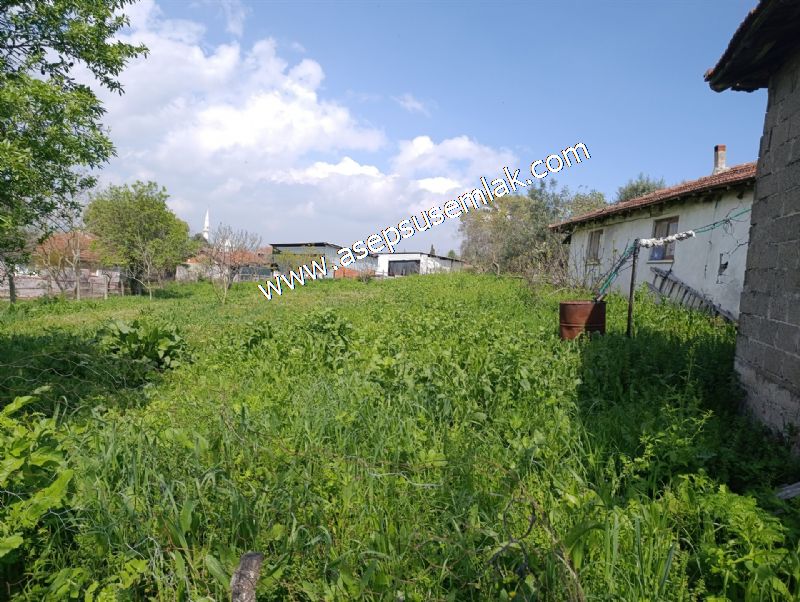 1.470 M2 Müstakil Köy Evi Arsa Meyve Bahçeli Bağ-Bahçe Asmalıder