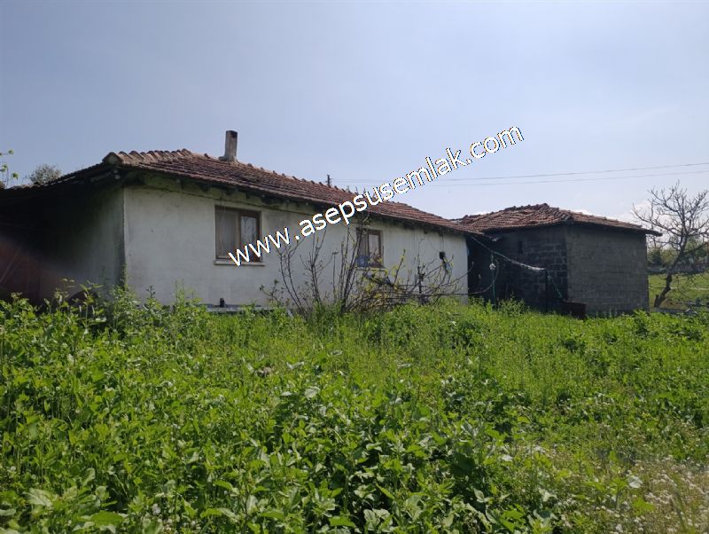 1.470 M2 Müstakil Köy Evi Arsa Meyve Bahçeli Bağ-Bahçe Asmalıder