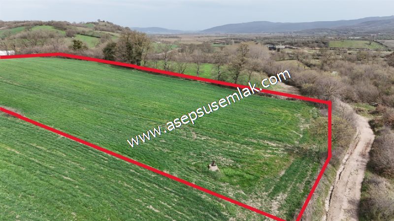 7.011m2 Çiftlik Bağ-Bahçe Kadastro Yola Cepheli Manyas Necip Köy