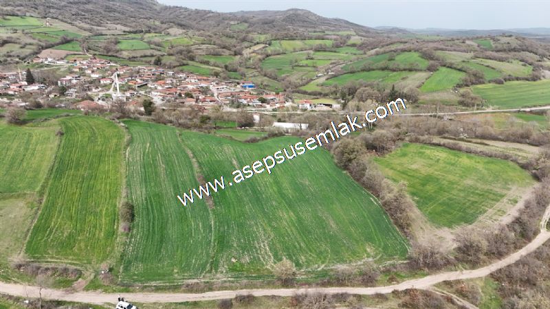 7.011m2 Çiftlik Bağ-Bahçe Kadastro Yola Cepheli Manyas Necip Köy