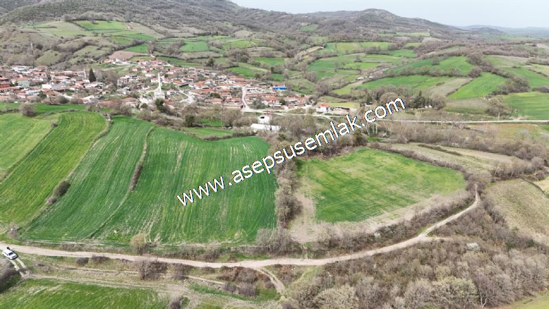 7.011m2 Çiftlik Bağ-Bahçe Kadastro Yola Cepheli Manyas Necip Köy
