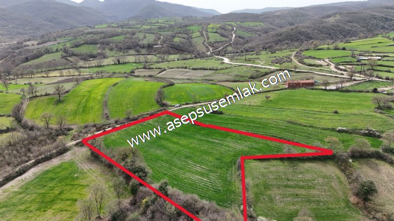 7.011m2 Çiftlik Bağ-Bahçe Kadastro Yola Cepheli Manyas Necip Köy
