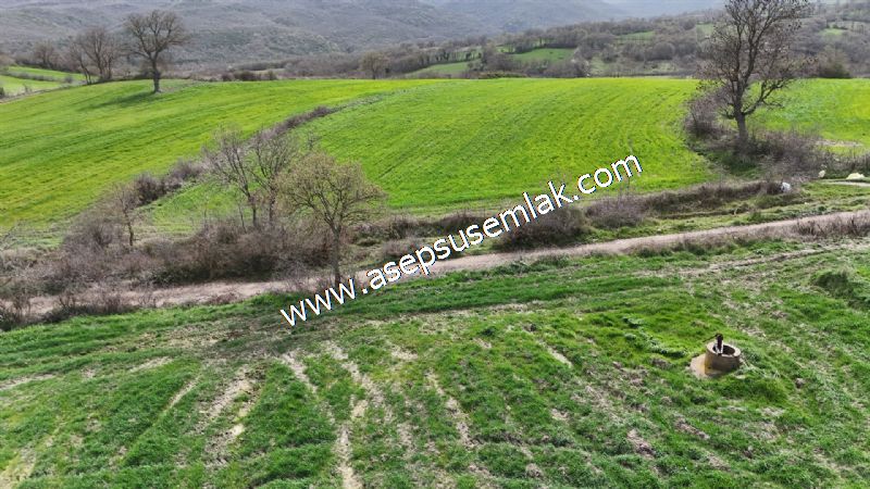 7.011m2 Çiftlik Bağ-Bahçe Kadastro Yola Cepheli Manyas Necip Köy