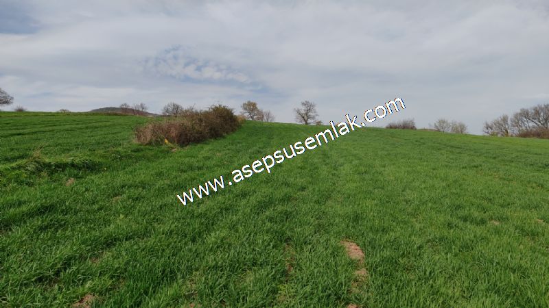 7.011m2 Çiftlik Bağ-Bahçe Kadastro Yola Cepheli Manyas Necip Köy