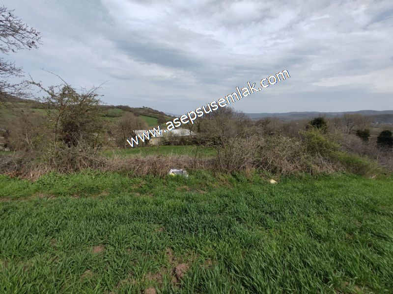 7.011m2 Çiftlik Bağ-Bahçe Kadastro Yola Cepheli Manyas Necip Köy