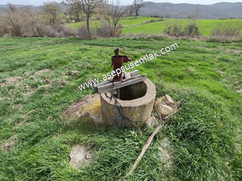7.011m2 Çiftlik Bağ-Bahçe Kadastro Yola Cepheli Manyas Necip Köy