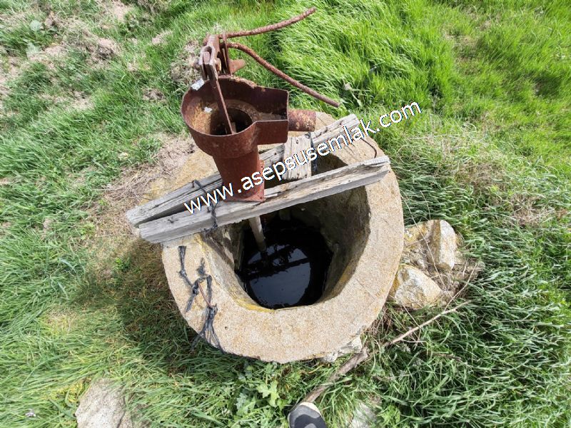 7.011m2 Çiftlik Bağ-Bahçe Kadastro Yola Cepheli Manyas Necip Köy