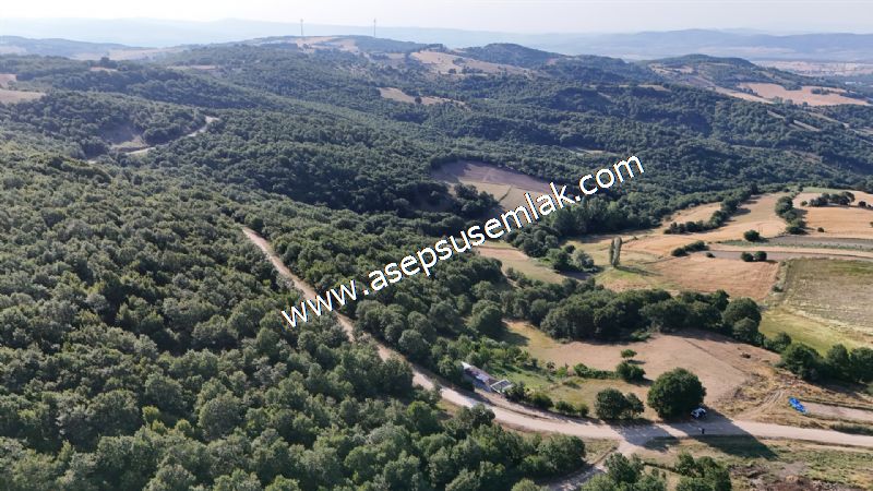 882 m2 Bağ-Bahçe Kadastro Yola Cepheli Göl Manzaralı Küpçıktı'da