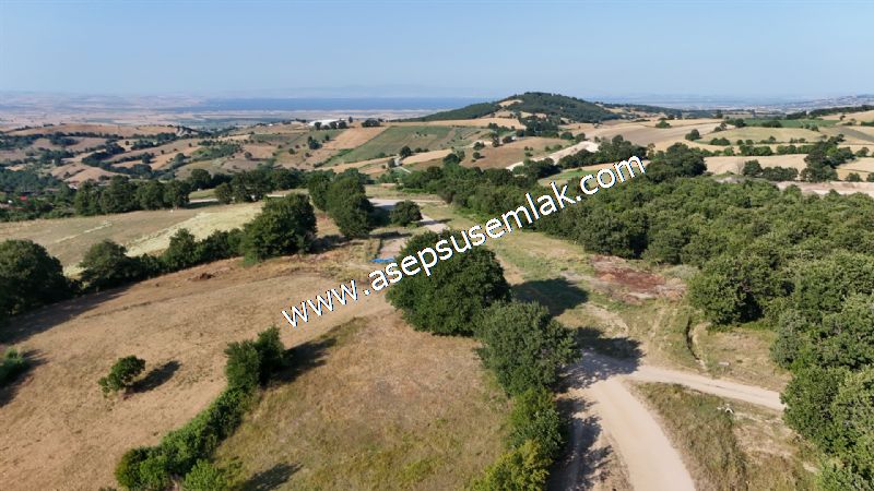 882 m2 Bağ-Bahçe Kadastro Yola Cepheli Göl Manzaralı Küpçıktı'da