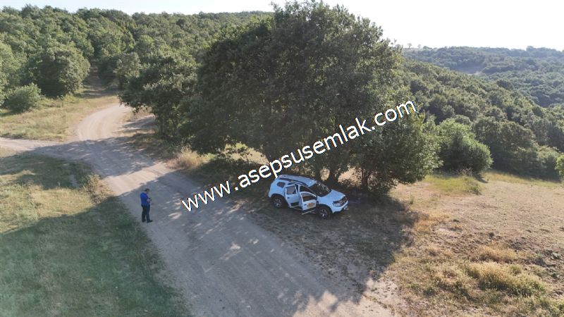882 m2 Bağ-Bahçe Kadastro Yola Cepheli Göl Manzaralı Küpçıktı'da
