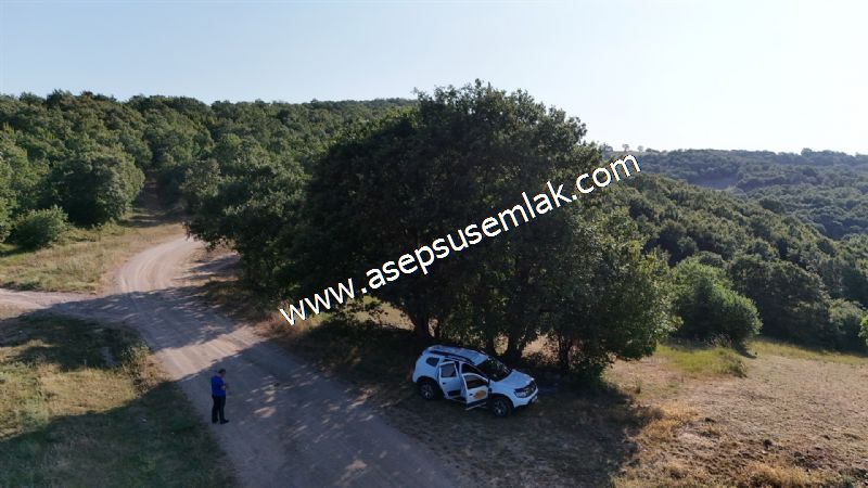 882 m2 Bağ-Bahçe Kadastro Yola Cepheli Göl Manzaralı Küpçıktı'da