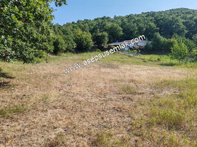 882 m2 Bağ-Bahçe Kadastro Yola Cepheli Göl Manzaralı Küpçıktı'da