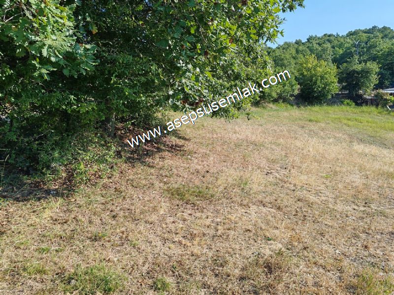 882 m2 Bağ-Bahçe Kadastro Yola Cepheli Göl Manzaralı Küpçıktı'da