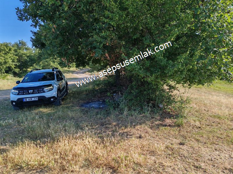 882 m2 Bağ-Bahçe Kadastro Yola Cepheli Göl Manzaralı Küpçıktı'da