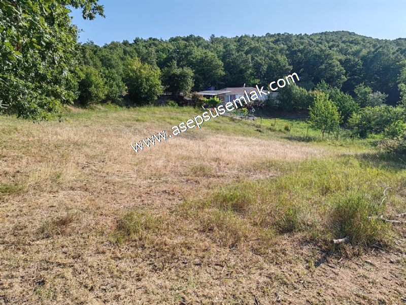 882 m2 Bağ-Bahçe Kadastro Yola Cepheli Göl Manzaralı Küpçıktı'da