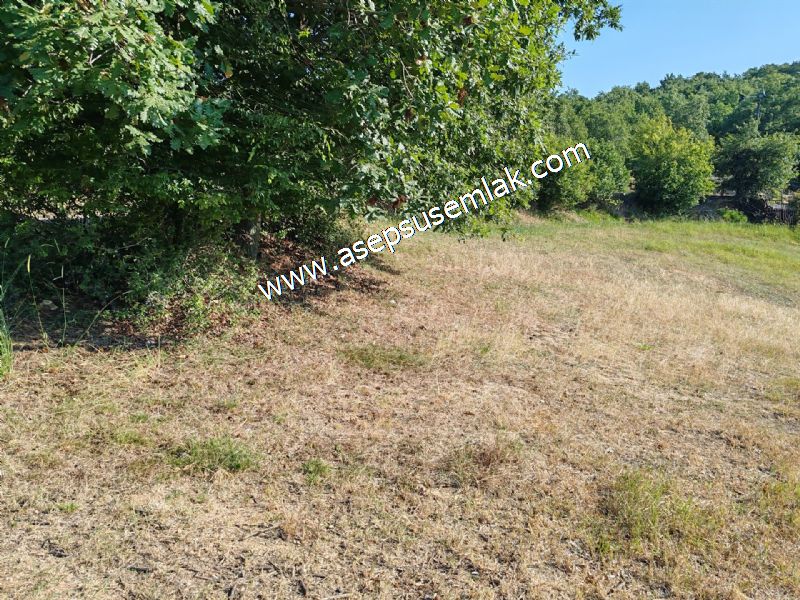 882 m2 Bağ-Bahçe Kadastro Yola Cepheli Göl Manzaralı Küpçıktı'da