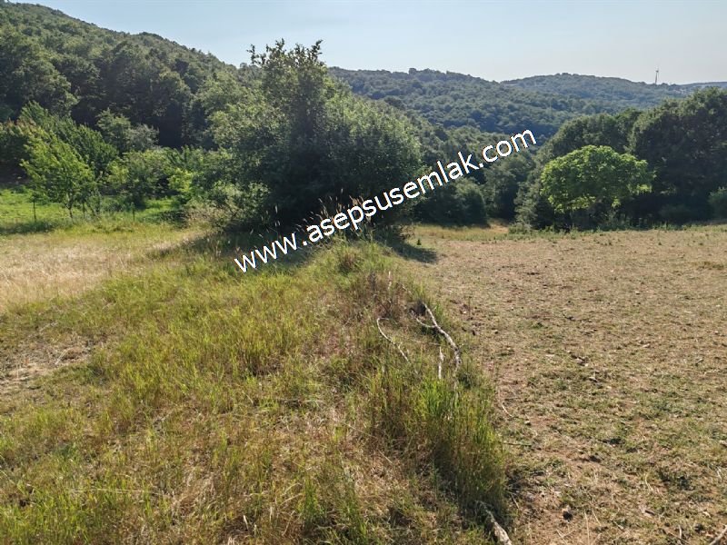 882 m2 Bağ-Bahçe Kadastro Yola Cepheli Göl Manzaralı Küpçıktı'da