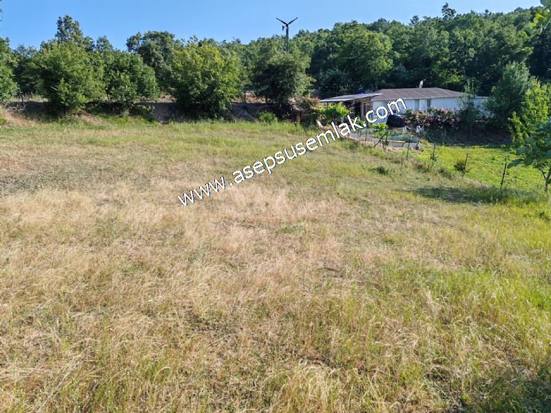 882 m2 Bağ-Bahçe Kadastro Yola Cepheli Göl Manzaralı Küpçıktı'da