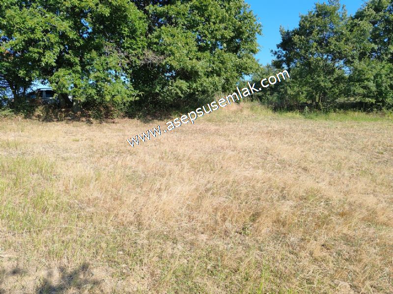 882 m2 Bağ-Bahçe Kadastro Yola Cepheli Göl Manzaralı Küpçıktı'da