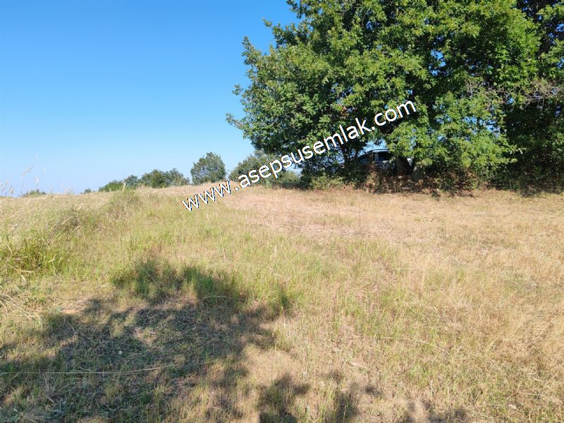 882 m2 Bağ-Bahçe Kadastro Yola Cepheli Göl Manzaralı Küpçıktı'da