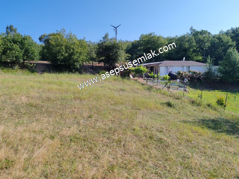 882 m2 Bağ-Bahçe Kadastro Yola Cepheli Göl Manzaralı Küpçıktı'da