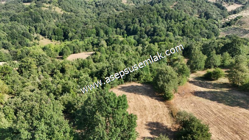 10.800 m2 Ormana Cepheli Tarla, Bağ-Bahçe, Hobi Bahçesi Fındıklı