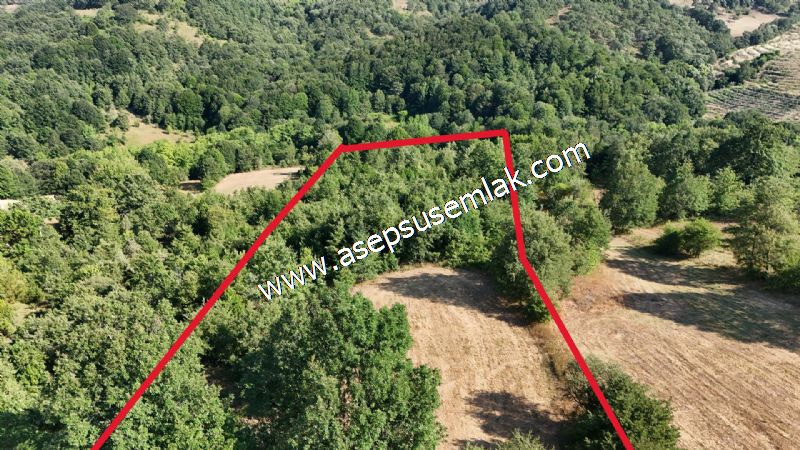 10.800 m2 Ormana Cepheli Tarla, Bağ-Bahçe, Hobi Bahçesi Fındıklı
